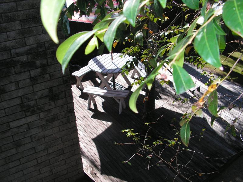 Ocean Paradise Studios & Apartments Coffs Harbour Ngoại thất bức ảnh
