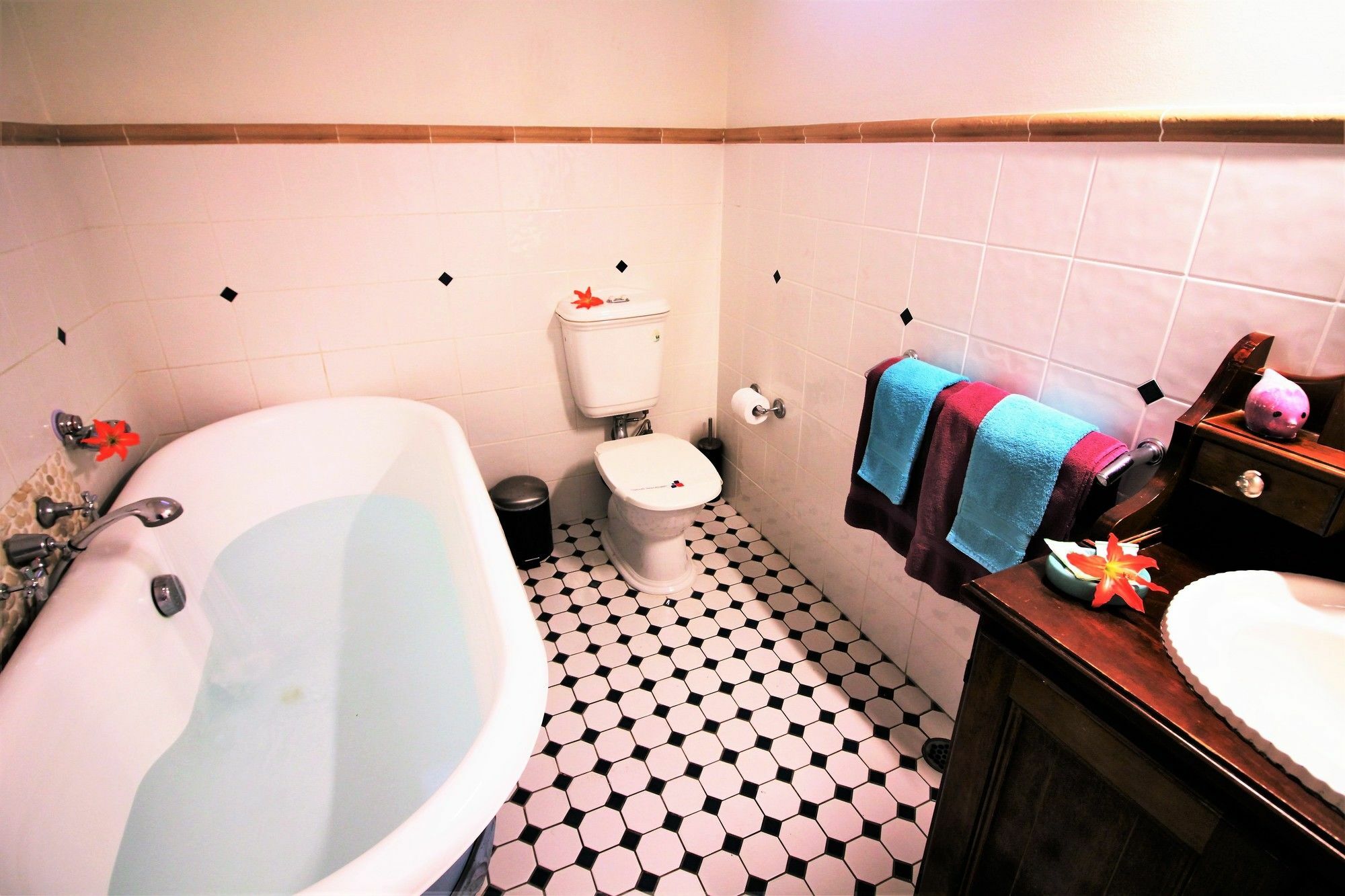 Ocean Paradise Studios & Apartments Coffs Harbour Ngoại thất bức ảnh